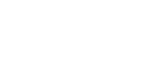 自由民主党参議院大阪府選挙区支部長 柳本あきら